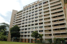Blk 204 Petir Road (Bukit Panjang), HDB 4 Rooms #216652